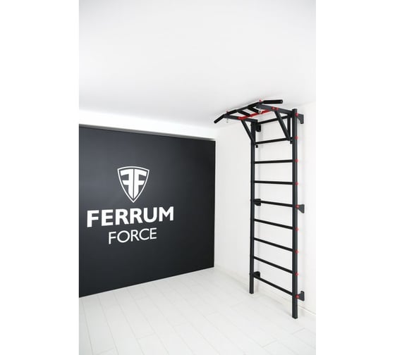 Спортивный комплекс FerrumForce F1 черно-красный F10010110-1 1