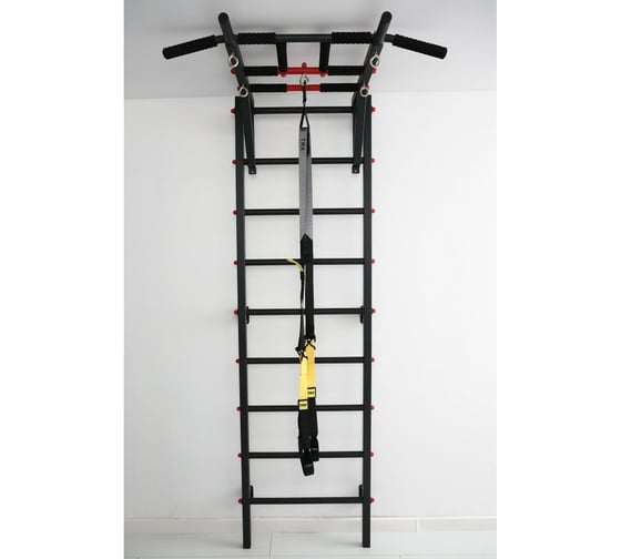 Спортивный комплекс FerrumForce F1 черно-красный F10010110-1