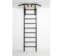 Спортивный комплекс FerrumForce F1 черно-желтый F10010110-2