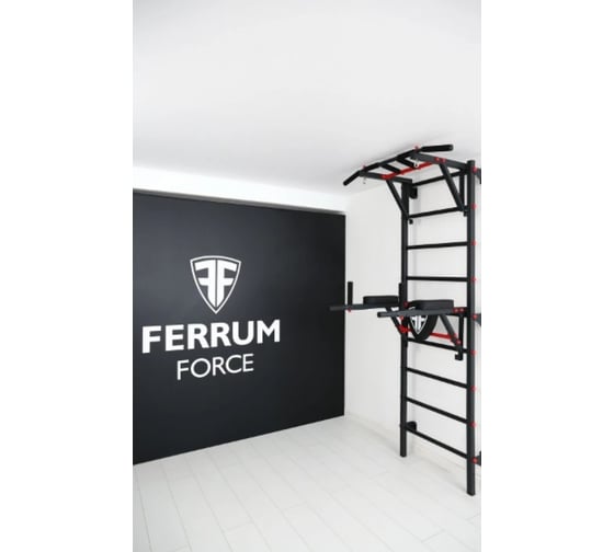 Спортивный комплекс FerrumForce F2 черно-красный F20010110-1 1