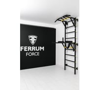 Спортивный комплекс FerrumForce F2 черно-желтый F20010110-2
