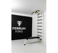 Спортивный комплекс FerrumForce F3 бело-желтый F30010110-4