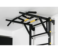 Турник-рукоход FerrumForce 6 видов хвата, черно-желтый F0010211-2