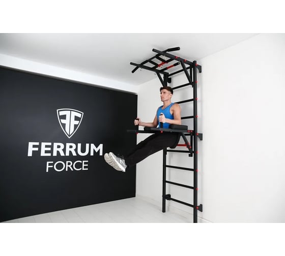 Навесной тренажер FerrumForce Брусья, Пресс и Упор для штанги, черно-красный F0010300-1