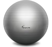 Фитбол для спорта и фитнеса Shark fit 65 см 27710