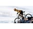 Шлем с камерой Airwheel C5 белый/оранжевый, размер XL AW C5-WHITE-ORANGE-XL 7