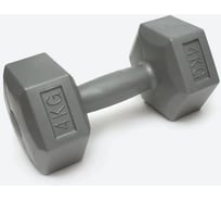 Насыпная гантель IR92008 4 кг 2007000045664