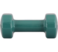 Виниловая гантель Iron People IR92005 3 кг 2000027196562