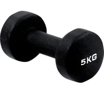 Неопреновая гантель для аэробики PRCTZ neoprene dumbbell, 5 кг PS7135