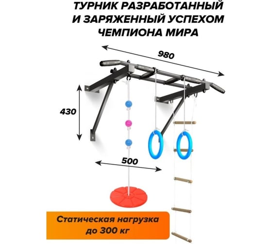 Турник Оптимист Absolute Champion тарзанка, лестница, кольца, черный с черными ручками АЧАЧ10045