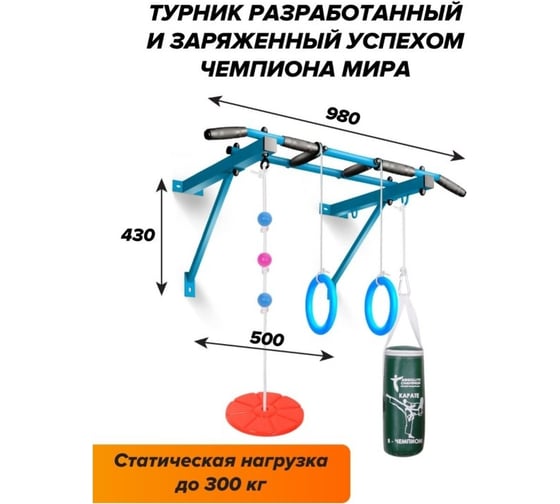 Турник Оптимист Absolute Champion тарзанка, груша, кольца, голубой с черными ручками АЧАЧ10096