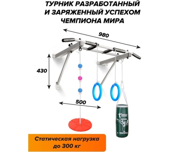 Турник Absolute Champion Оптимист тарзанка, груша, кольца, белый с черными ручками АЧАЧ10046