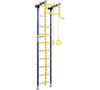 Шведская стенка ROMANA Kometa 2 ДСКМ-2-8.06.Г.490.18-11 синяя слива C01310004