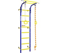 Детский спортивный комплекс ROMANA Next 1, синяя слива ДСКМ-2С-8.06.Г1.490.18-24