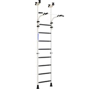 Детский спортивный комплекс ROMANA R8 белый антик золото/черный ДСКМ-2-8.06.Г2.410.01-01