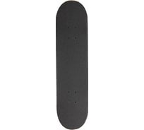 Скейтборд Larsen park 3, 31"х8" 4690222167269