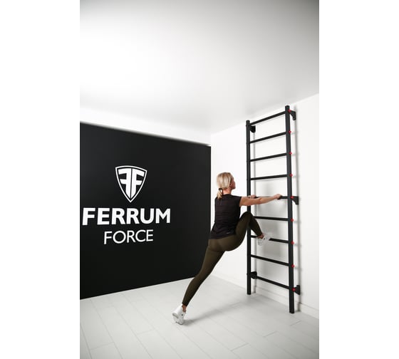 Спортивный комплекс FerrumForce F6 черно-красный F60010110-1