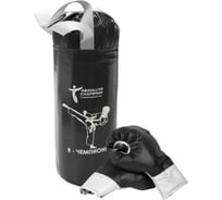 Детский игровой набор Absolute Champion Я-Чемпион 8 кг, черный перчатки, груша АЧ 10569