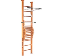 Детский спортивный комплекс Perfetto sport Salute PS-101 с тренажёром Vinsere PS-121 СГ000001360