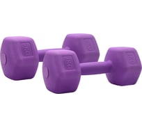 Гантели для фитнеса SportElite фиолетовые, 2шт х 3кг, H-203