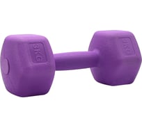 Гантель для фитнеса SportElite 1шт х 3кг, фиолетовая H-103
