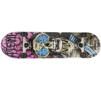 Скейтборд ATEMI Z-punk ASB-4.16 00000136466
