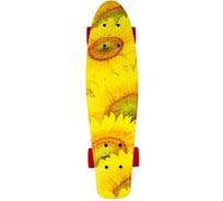 Миниборд ATEMI APB-17.12 00-00000325