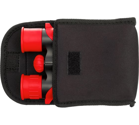 Бинокль Levenhuk LabZZ B2 Red Berry 79569