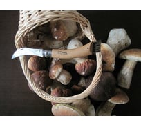 Нож грибника Opinel, №8, нержавеющая сталь, рукоять бук, блистер 1250