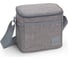 Изотермическая сумка для продуктов RIVACASE Cooler bag, 5.5 л 5706 1