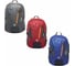 Рюкзак Bestway Arctic Hiking 45 л, три вида 68081 BW 1