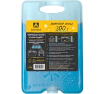 Аккумулятор холода АРКТИКА AX-10 300г ARAX-10