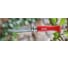 Нож Opinel №8 Trekking 1981 2