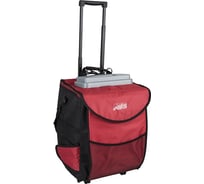 Сумка-холодильник AVS CB-32A 32 л, 12V A80539S