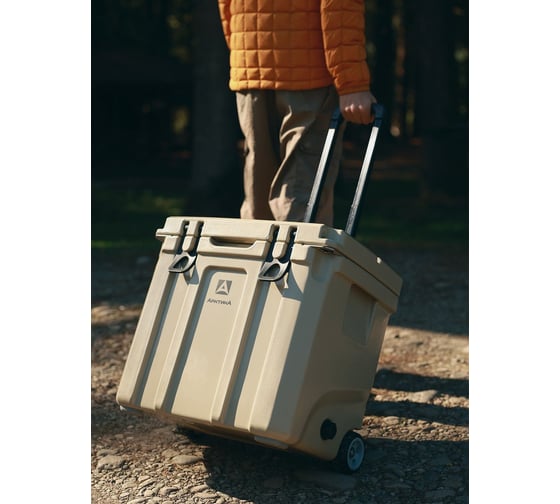 Изотермический контейнер Арктика ТМ 35 л, 2600-35W бежевый 2600-35W-BG