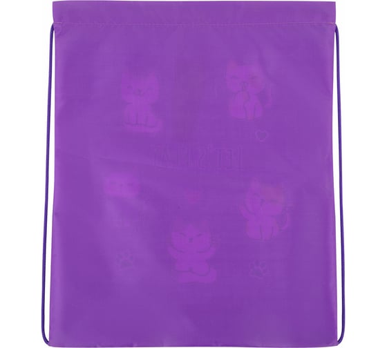 Мешок для обуви BRAUBERG Kids, с петлей, 42x34 см, Playing kittens 272413