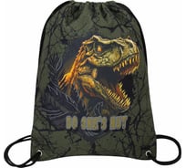 Мешок для обуви BRAUBERG Premium, карман, подкладка, светоотражайка, 43x33 см, Dino attack 272424