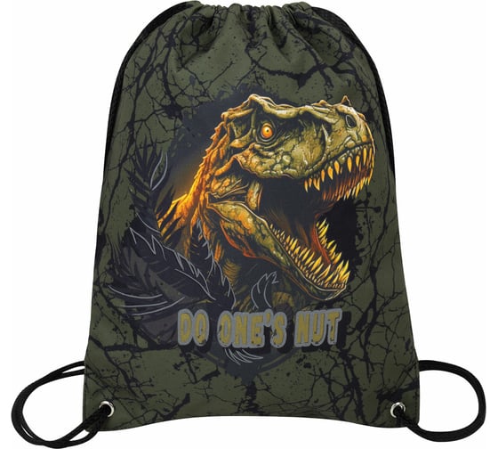 Мешок для обуви BRAUBERG Premium, карман, подкладка, светоотражайка, 43x33 см, Dino attack 272424