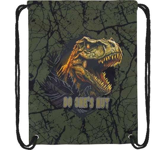 Мешок для обуви BRAUBERG Premium, карман, подкладка, светоотражайка, 43x33 см, Dino attack 272424