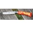Детский складной нож Opinel VRI My First AnimLion №7 17018 2