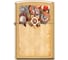 Зажигалка Zippo Советские ордена, с покрытием Gold Dust, 38x13x57 мм, 207G RUSSIAN MEDALS 1