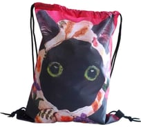 Мешок для обуви witerra МО-7(210) Аниме Мем кошки 14, 34x42 см 110062