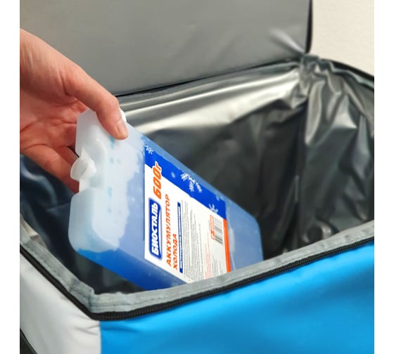 Аккумулятор холода Biostal 600 г IP-600М