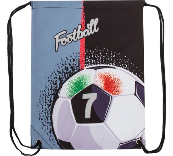 Сумка для обуви BRAUBERG PREMIUM Ball 43х33 см 270287 1