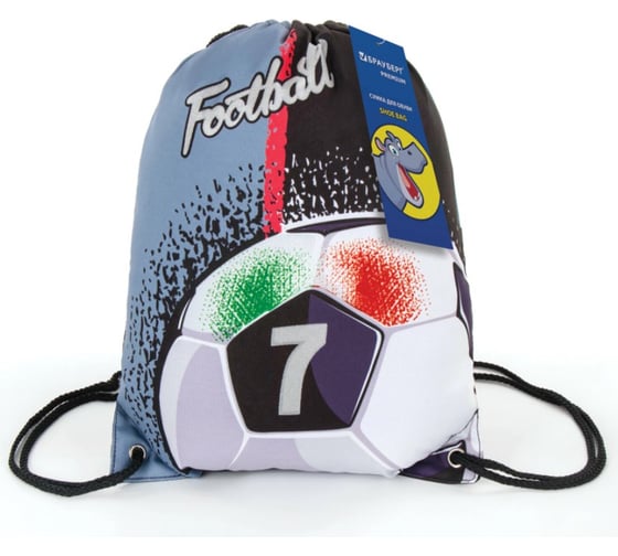 Сумка для обуви BRAUBERG PREMIUM Ball 43х33 см 270287