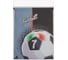 Сумка для обуви BRAUBERG PREMIUM Ball 43х33 см 270287 6
