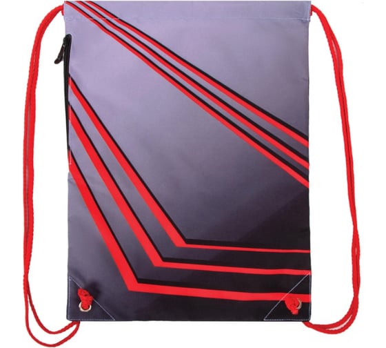 Сумка для обуви BRAUBERG PREMIUM Street racing 43х33 см 270284
