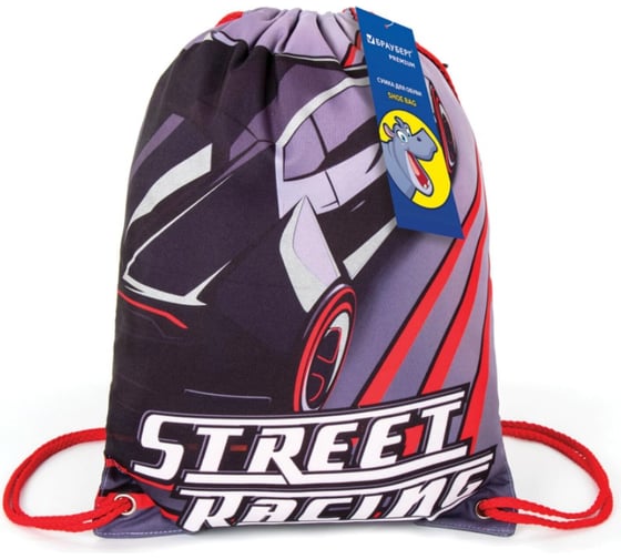 Сумка для обуви BRAUBERG PREMIUM Street racing 43х33 см 270284