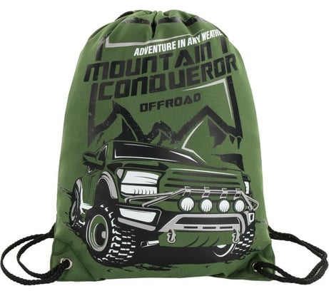Сумка для обуви BRAUBERG PREMIUM Mountain conqueror 43х33 см 270286