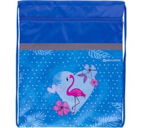Сумка для обуви BRAUBERG Flamingo 49х41 см 229174